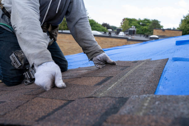 Residential Roof Replacement in El Cenizo, TX