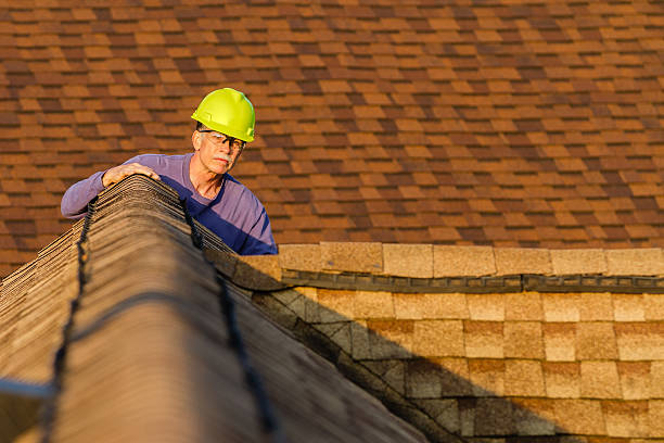 Best Storm Damage Roof Repair  in El Cenizo, TX
