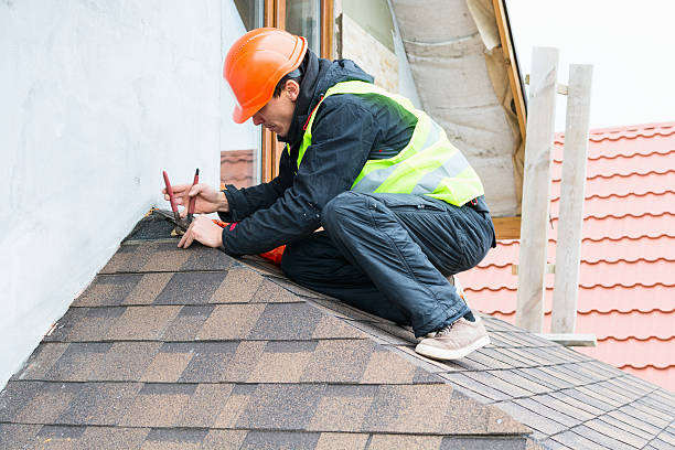 Best Roof Gutter Cleaning  in El Cenizo, TX