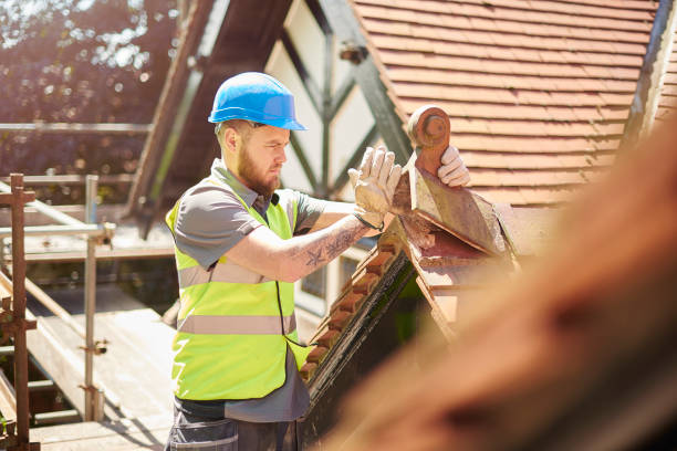 Best New Roof Installation  in El Cenizo, TX